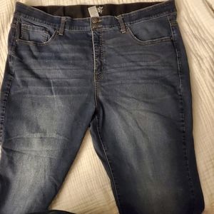 Terra & Sky bootcut jeans, size 24W, double button, like new!